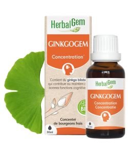 Ginkgogem - Ginkgo biloba